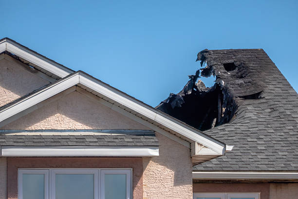 Top rated local Odor Removal specialists in Sun City, AZ